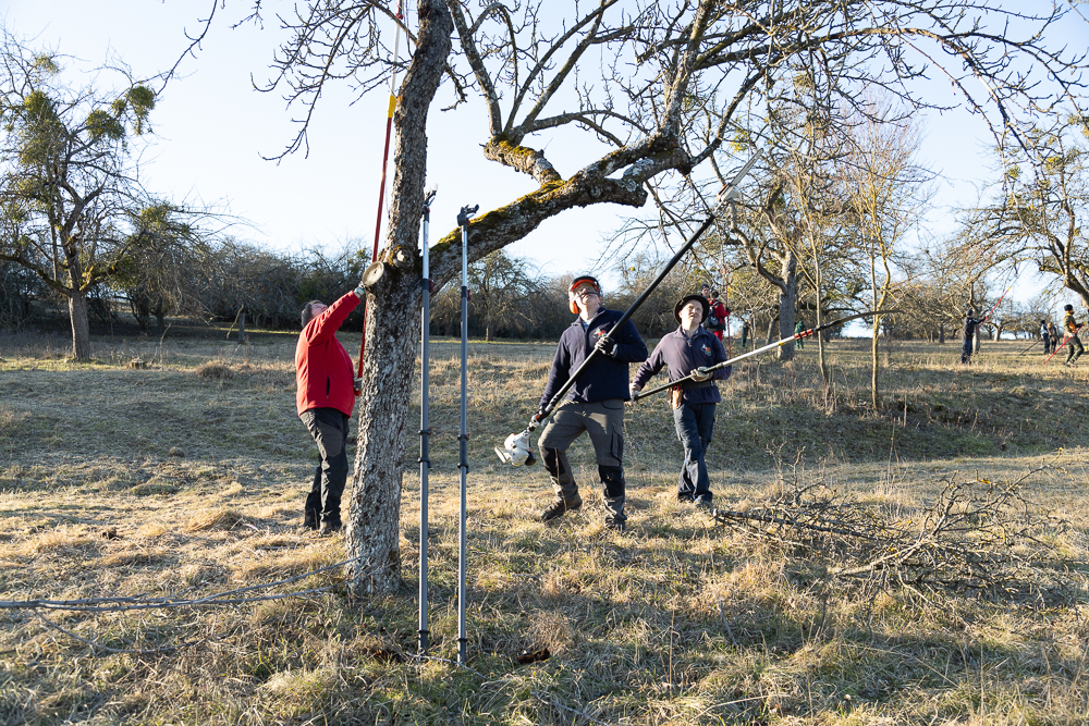 Baumschnittkurs Stettberg